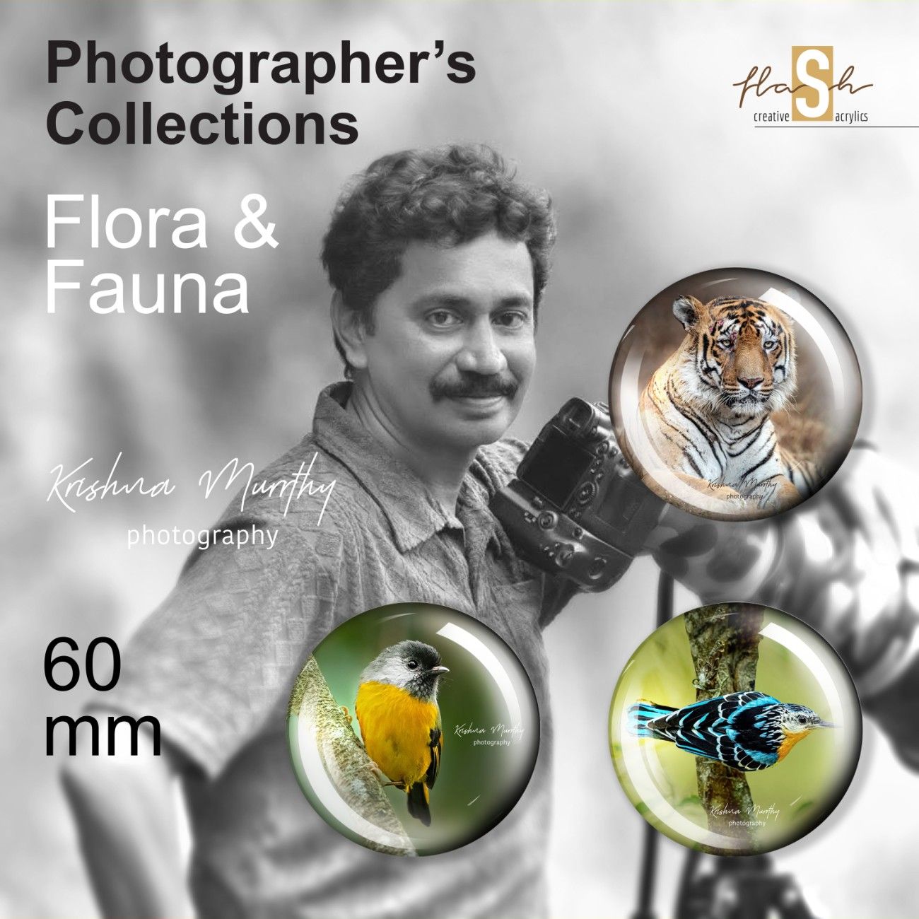 PRODUCTSFLASH04- (3)